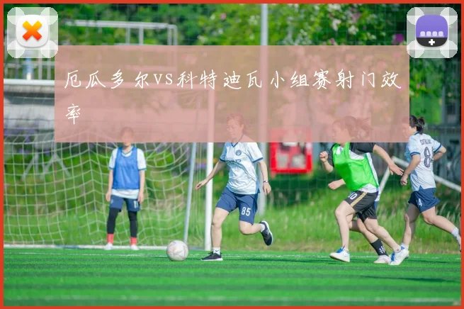 厄瓜多尔vs科特迪瓦小组赛射门效率