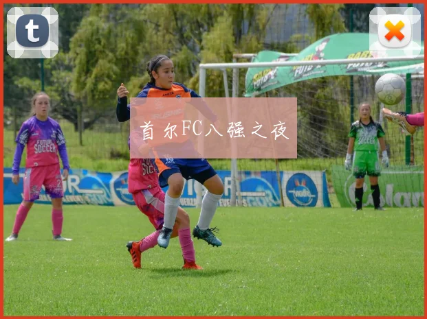 首尔FC八强之夜