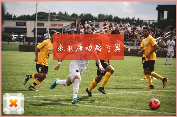 米利唐边路飞翼