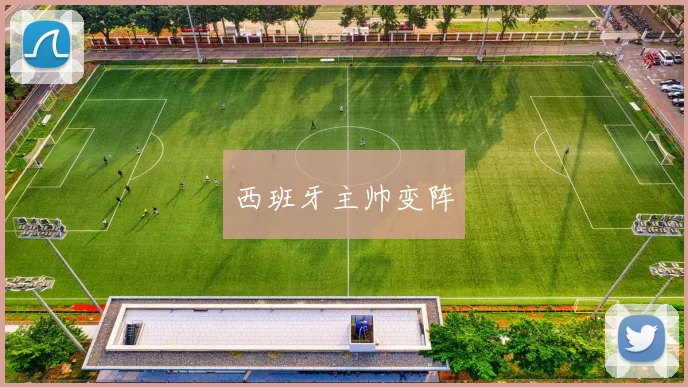 西班牙主帅变阵