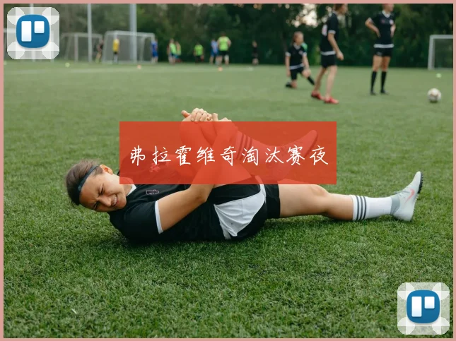 弗拉霍维奇淘汰赛夜