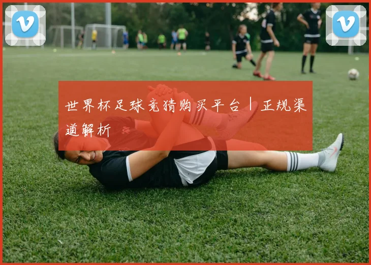 世界杯足球竞猜购买平台｜正规渠道解析