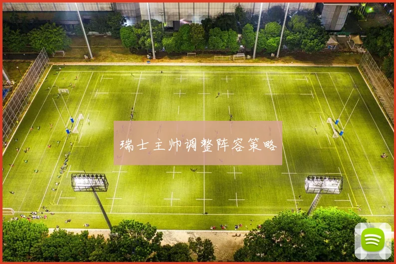 瑞士主帅调整阵容策略