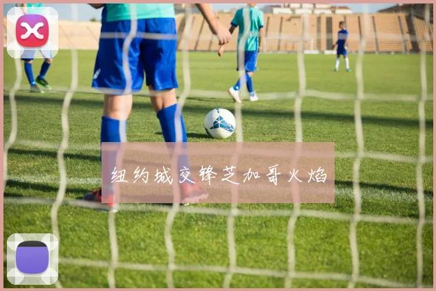 纽约城交锋芝加哥火焰