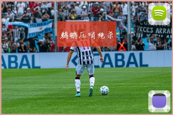 鹈鹕压哨绝杀