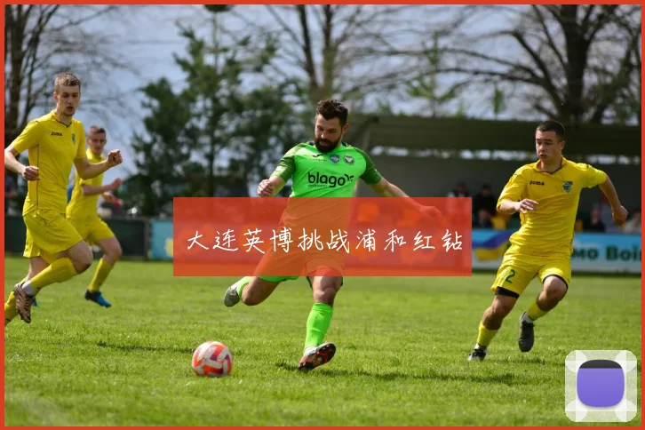 大连英博挑战浦和红钻
