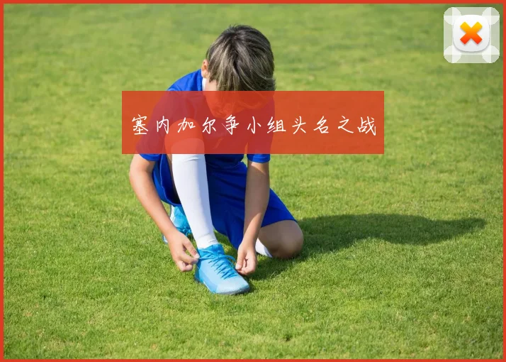 塞内加尔争小组头名之战