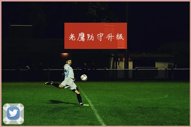 老鹰防守升级