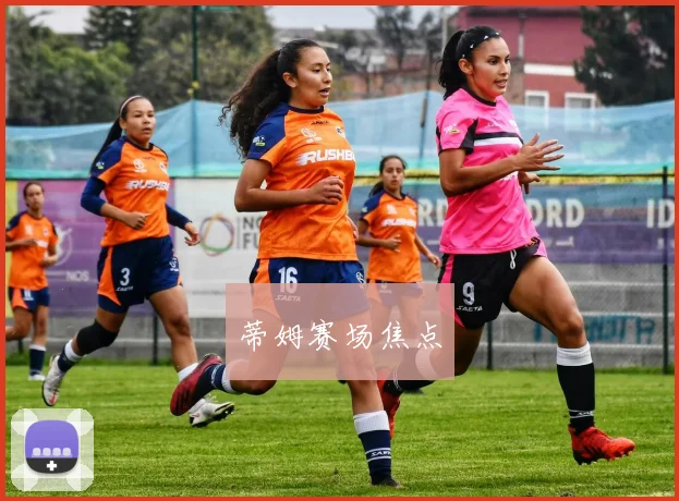 蒂姆赛场焦点