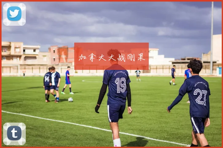 加拿大大战刚果