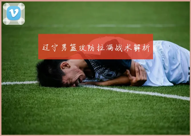 辽宁男篮攻防拉满战术解析