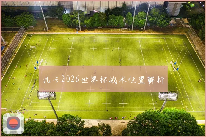 扎卡2026世界杯战术位置解析