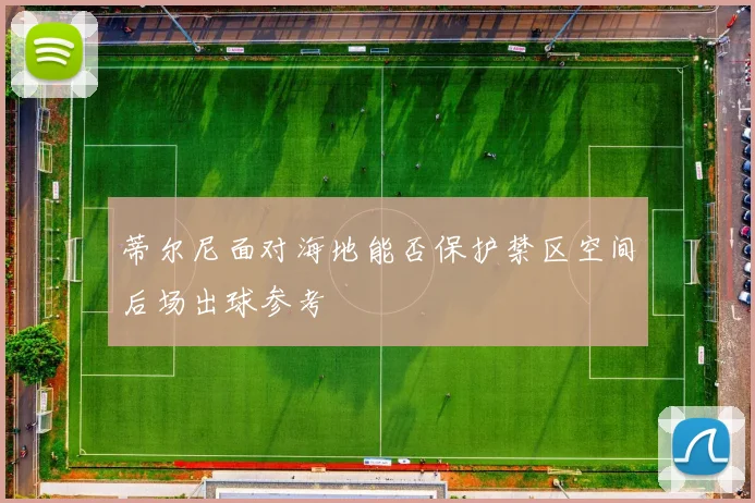 蒂尔尼面对海地能否保护禁区空间后场出球参考